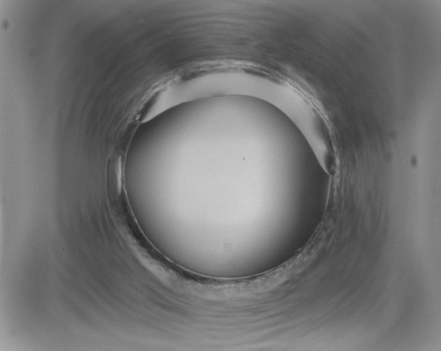 X0000081440013200701261859