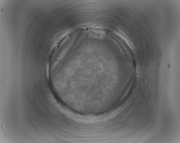 X0000081440014200701261859
