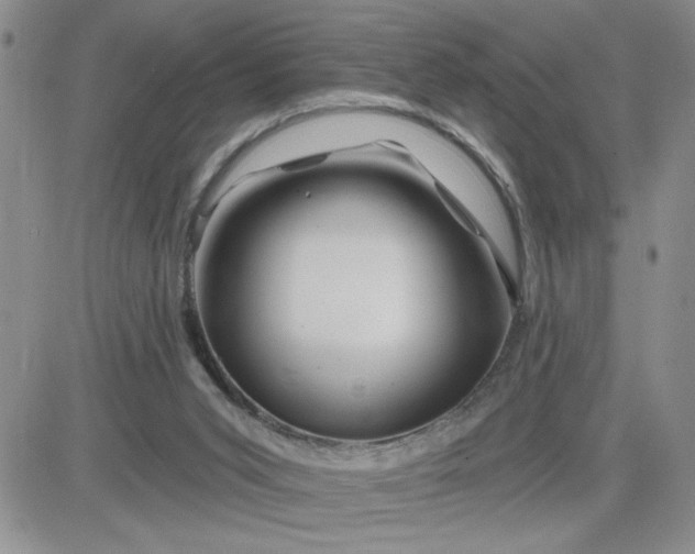 X0000081440015200701261859