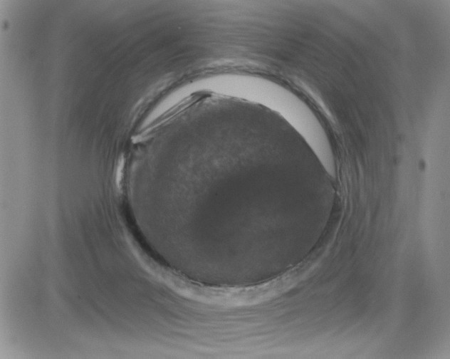 X0000081440023200701261859