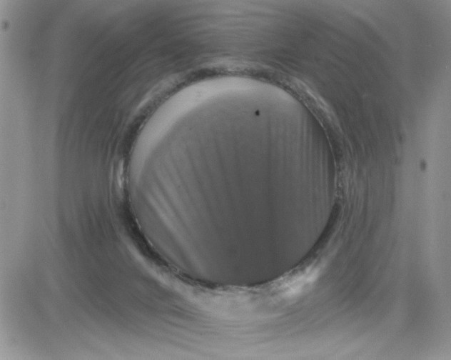 X0000081440024200701261859