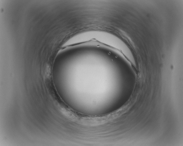 X0000081440025200701261859