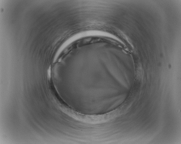 X0000081440027200701261859