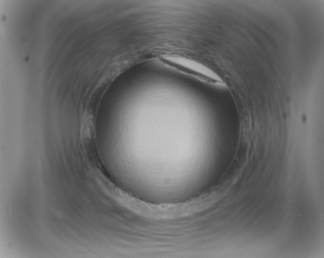 X0000081440038200701261859