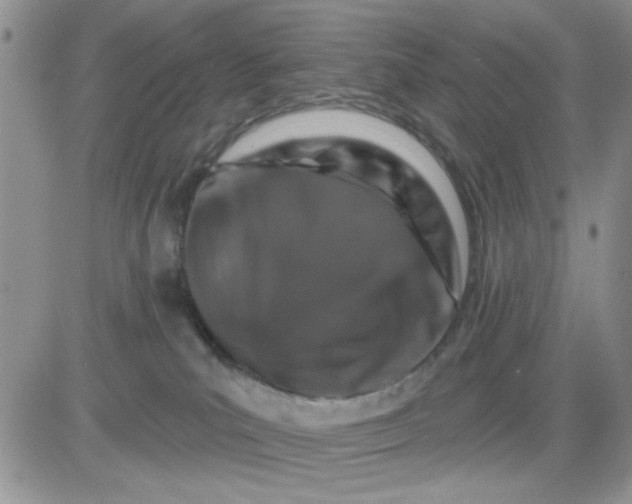 X0000081440039200701261859