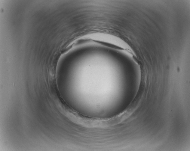 X0000081440040200701261859