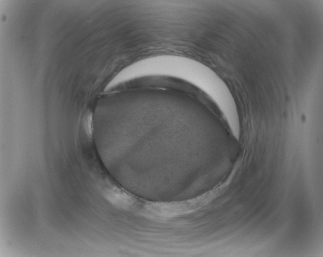 X0000081440041200701261858