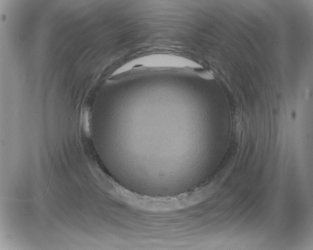 X0000081440042200701261858