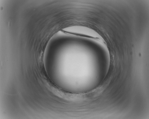 X0000081440044200701261858