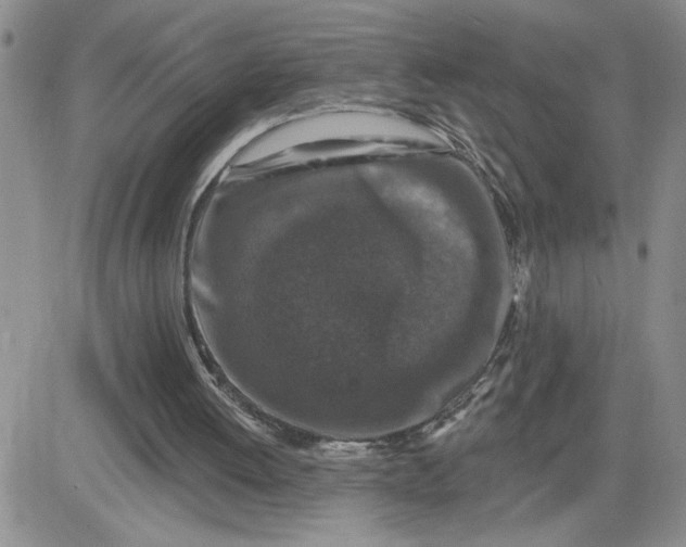 X0000081440052200701261858