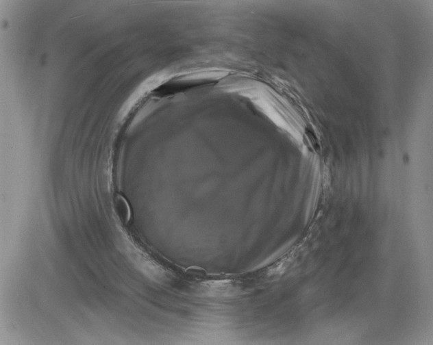X0000081440054200701261858