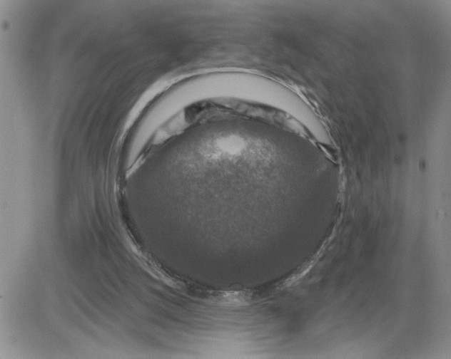 X0000081440056200701261858