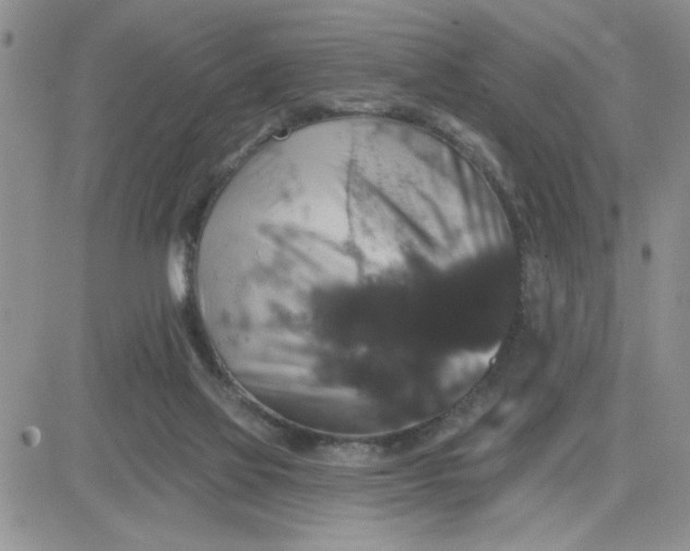 X0000081440069200701261858