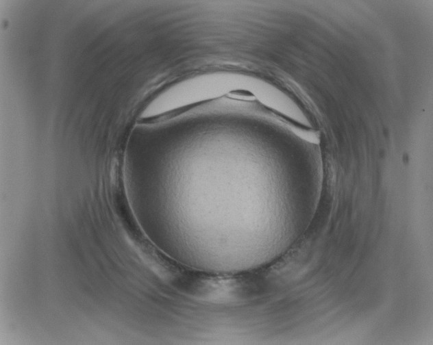 X0000081440071200701261858