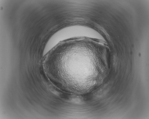 X0000081440073200701261858