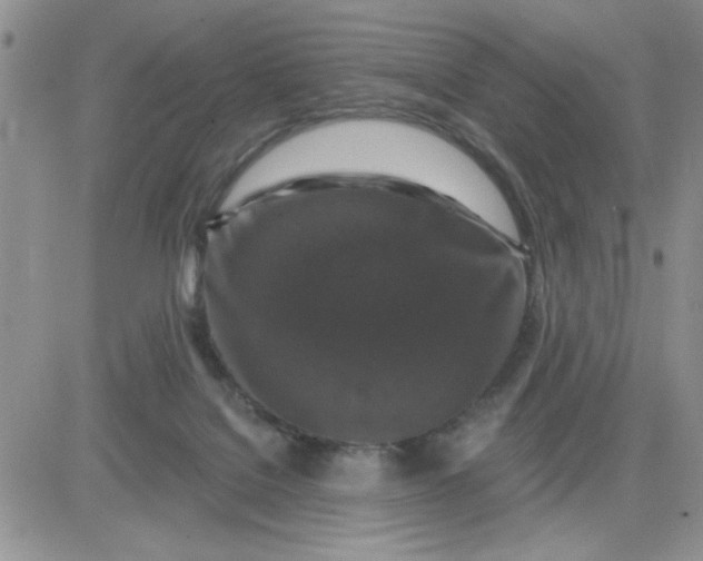 X0000081440076200701261858