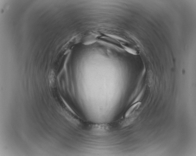 X0000081440077200701261858