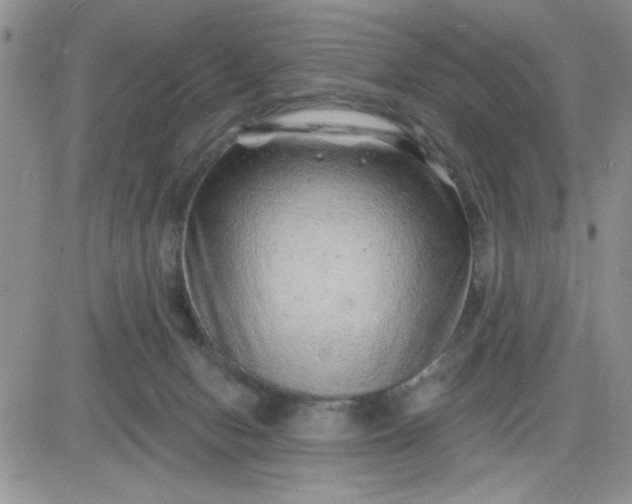 X0000081440078200701261858