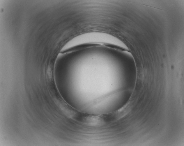 X0000081440086200701261858