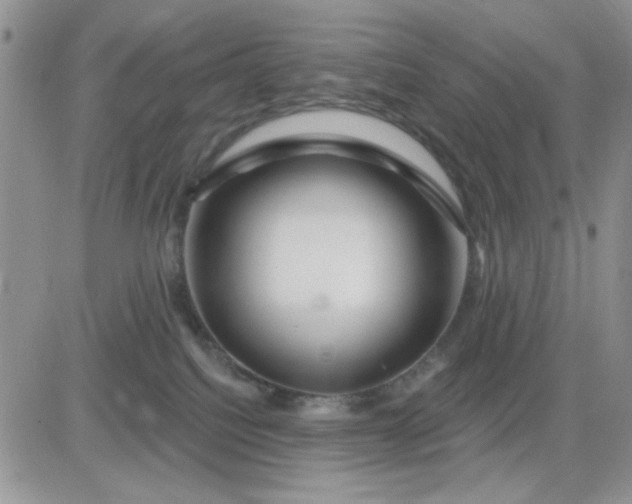 X0000081440088200701261858