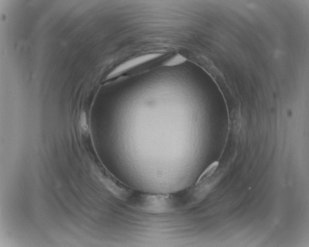 X0000081440089200701261858