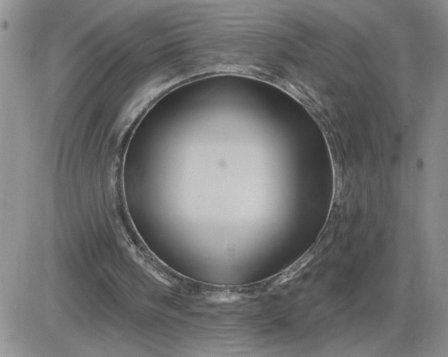 X0000081440098200701261858