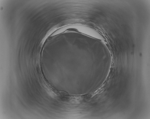 X0000081440099200701261858