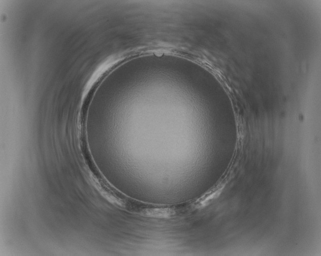 X0000081440102200701261858