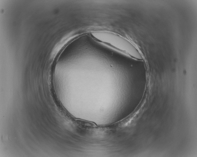X0000081440103200701261857