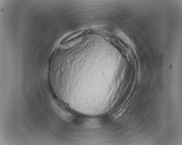 X0000081440107200701261857