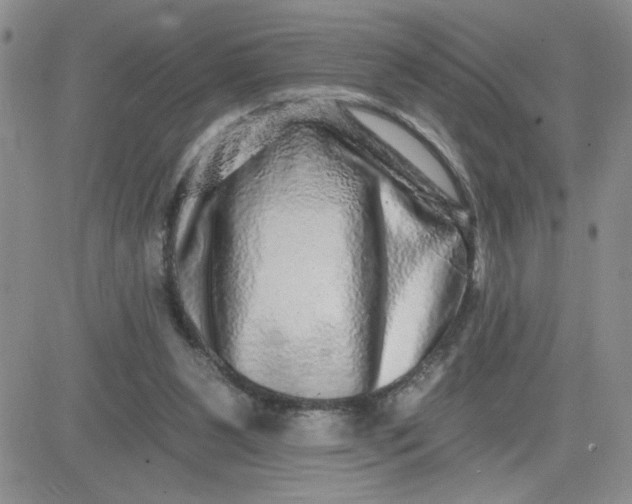 X0000081440111200701261857
