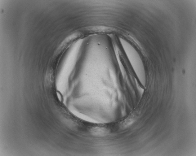 X0000081440119200701261857