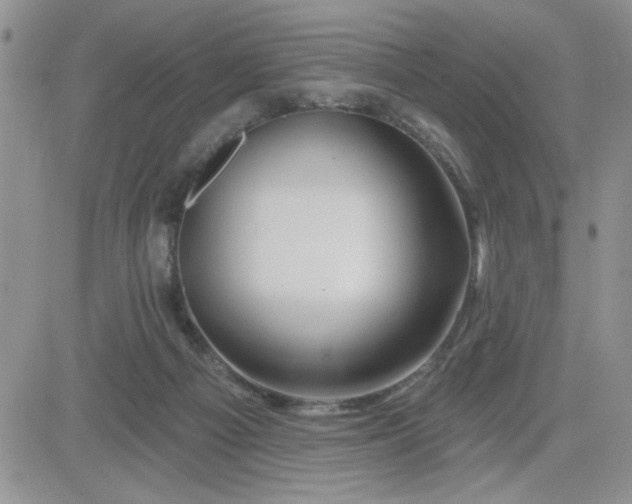 X0000081440121200701261857