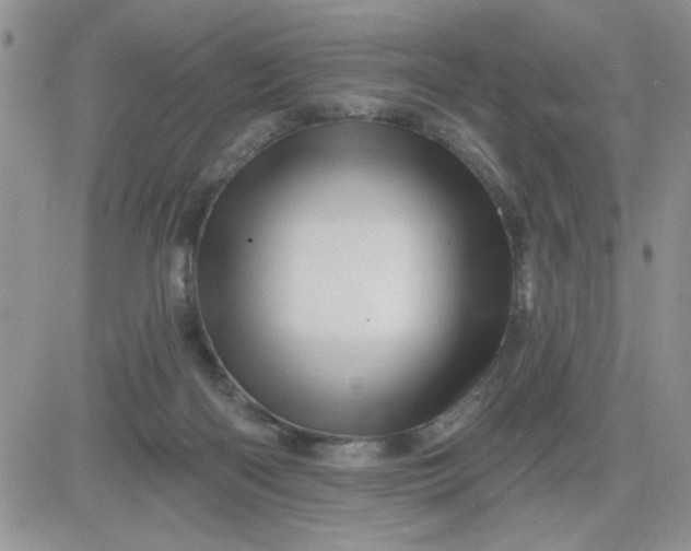 X0000081440122200701261857
