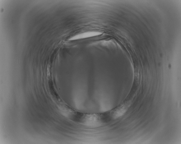 X0000081440127200701261857
