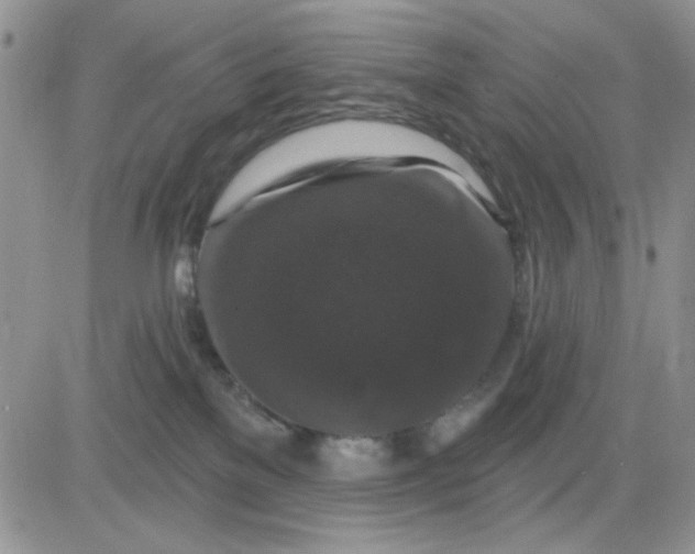 X0000081440137200701261857