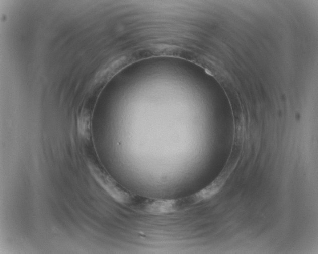 X0000081440138200701261857