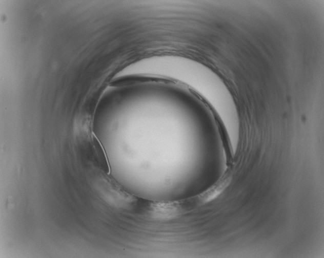 X0000081440141200701261857