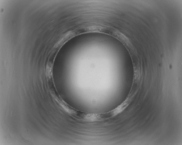 X0000081440142200701261857