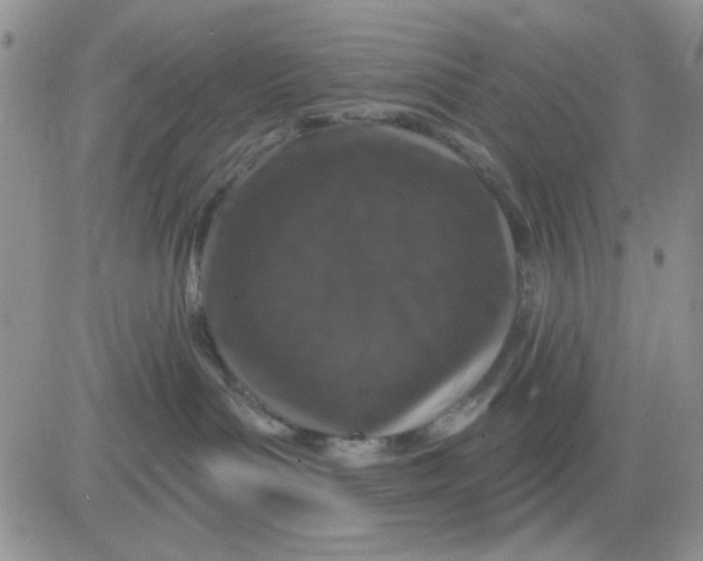 X0000081440143200701261857
