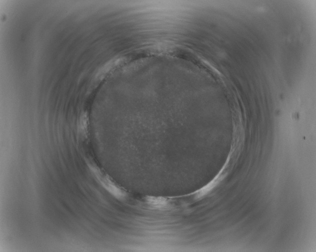 X0000081440144200701261857