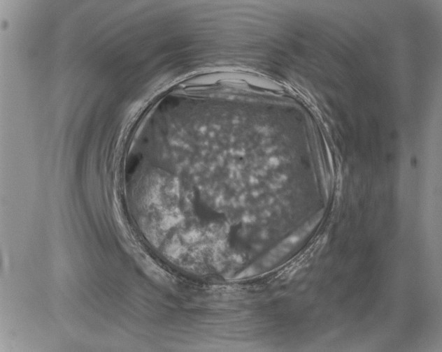 X0000081440145200701261856