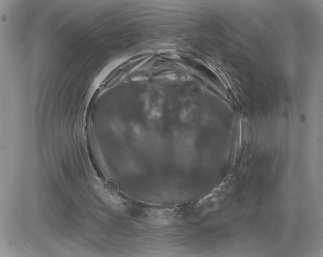 X0000081440147200701261856