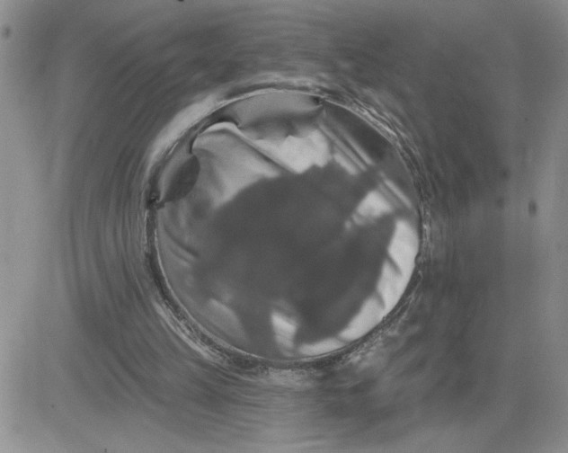 X0000081440149200701261856