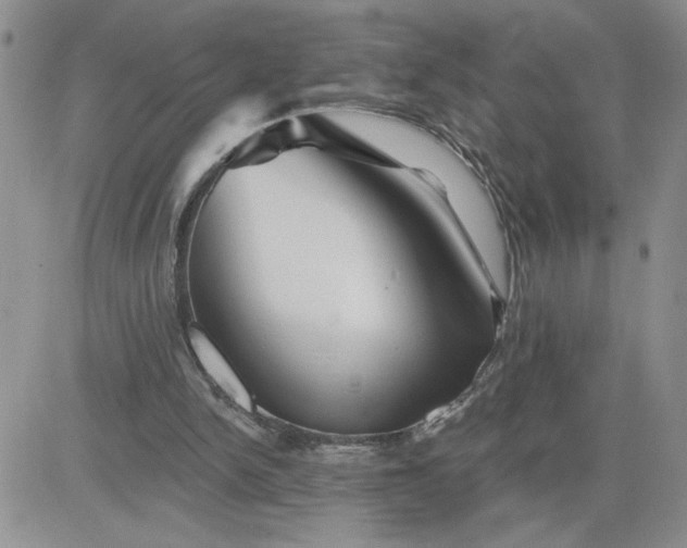 X0000081440150200701261856