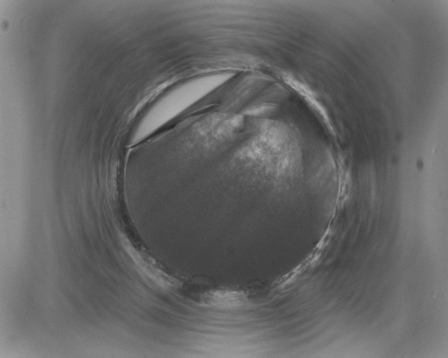 X0000081440154200701261856