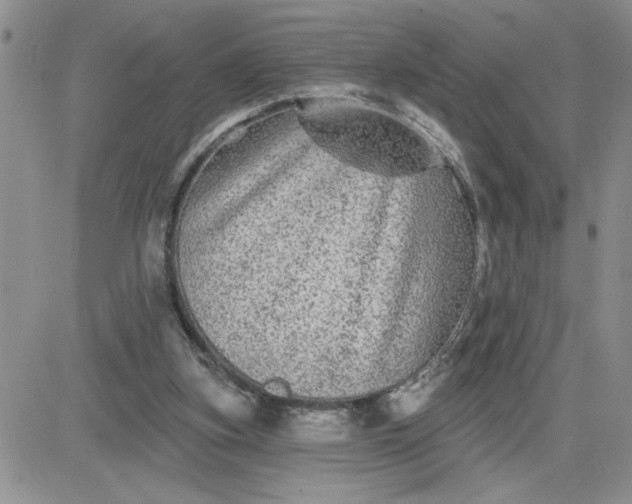 X0000081440155200701261856