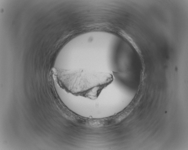 X0000081440161200701261856