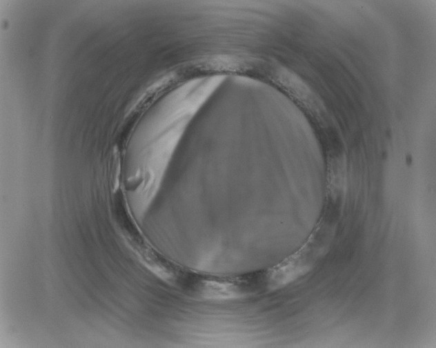 X0000081440167200701261856