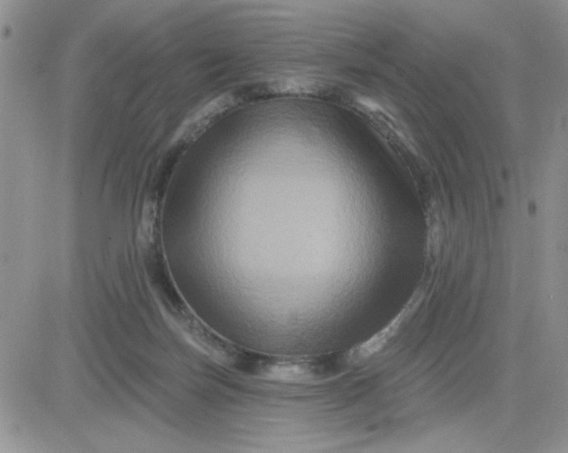 X0000081440171200701261856
